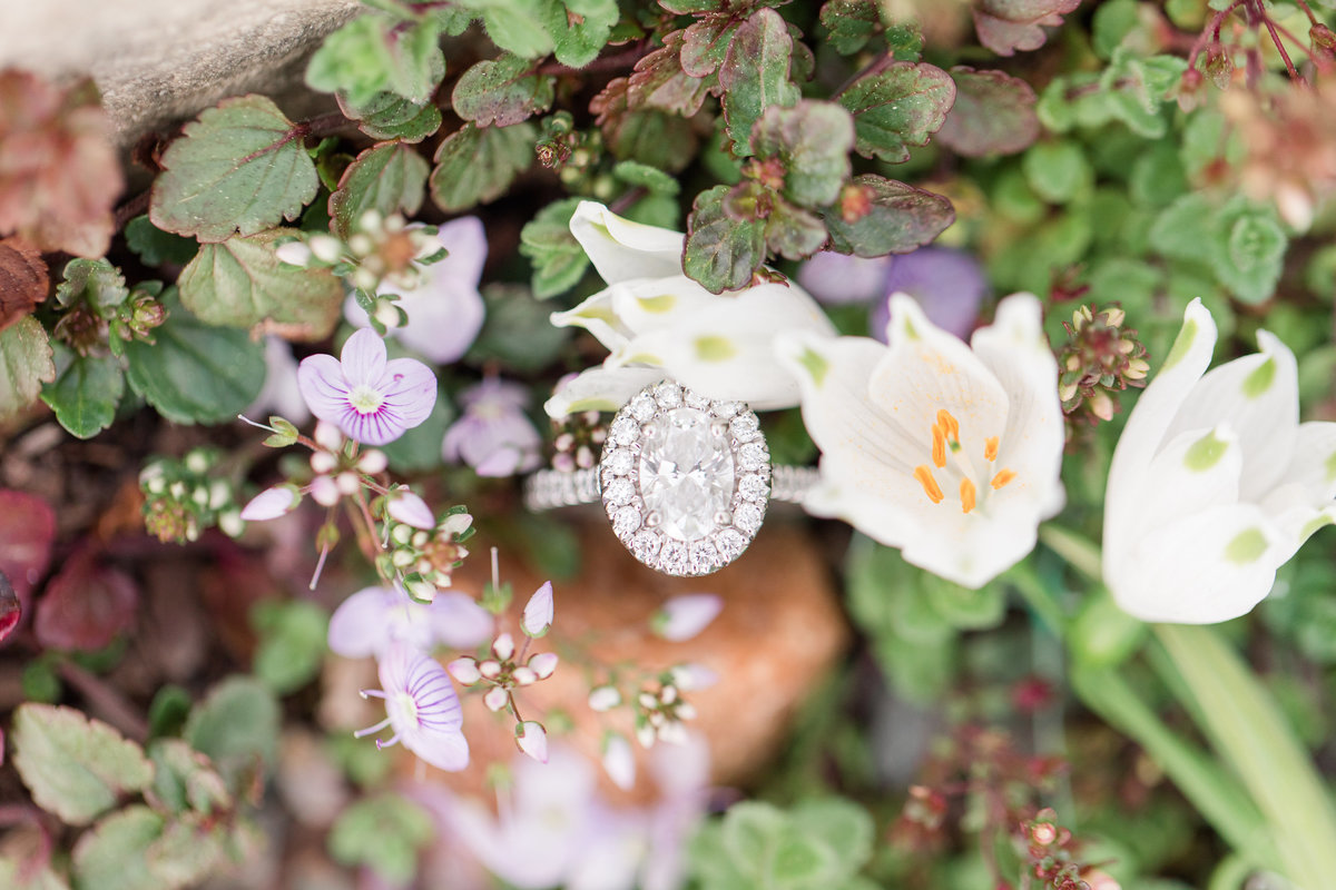 Jennifer B Photography-Raleigh-Engagement-JC Raulston and Museum of Art-Peter & Terra-2020-0196