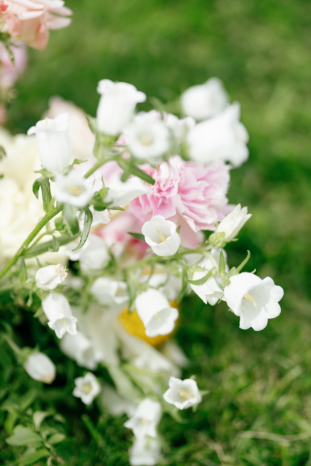 _GV11703_websize