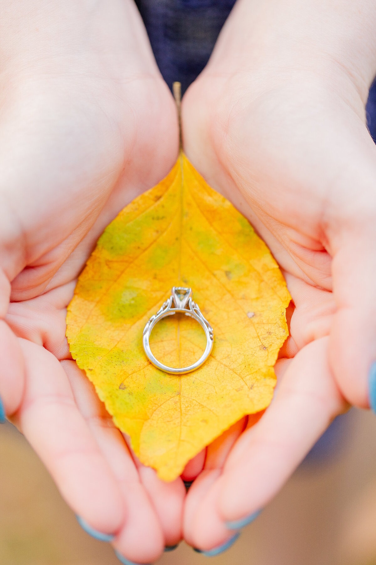 Chelsea Lavallee Photography_Weddings_Portfolio_017