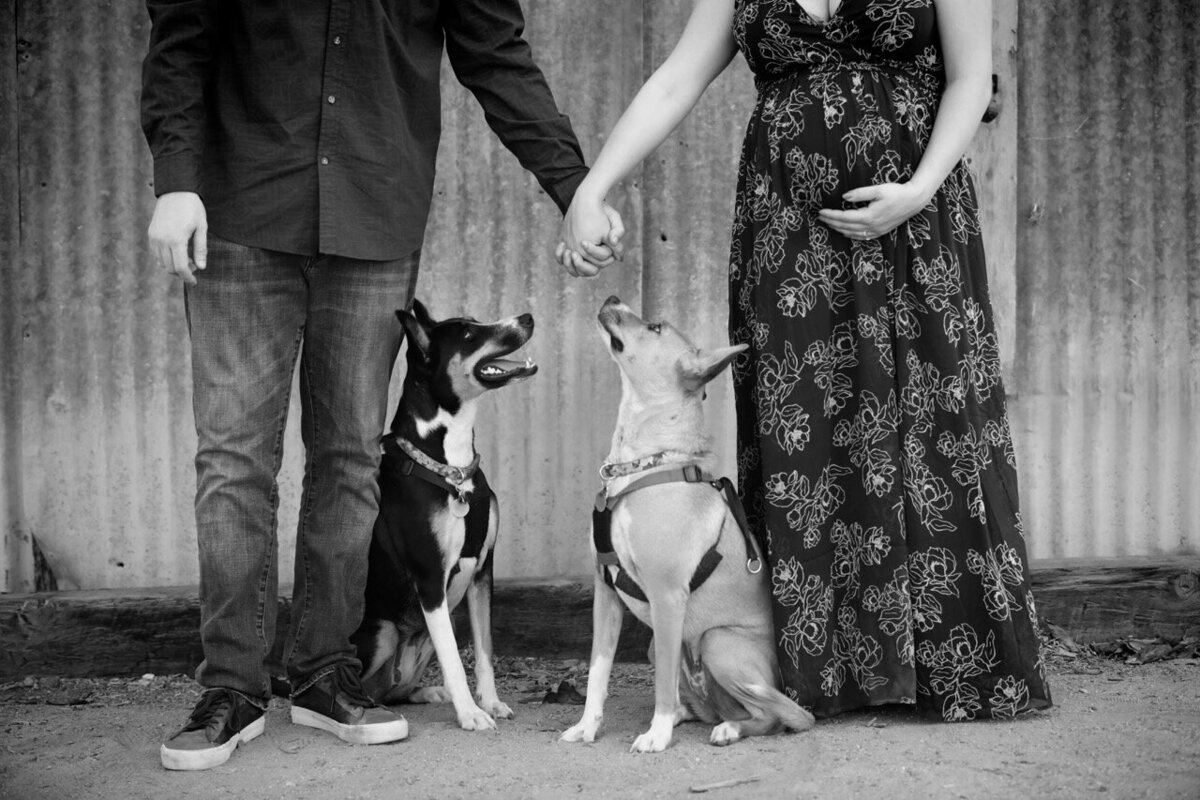 14-neborn-natural-light-orange-county-lauren-ford-photography.