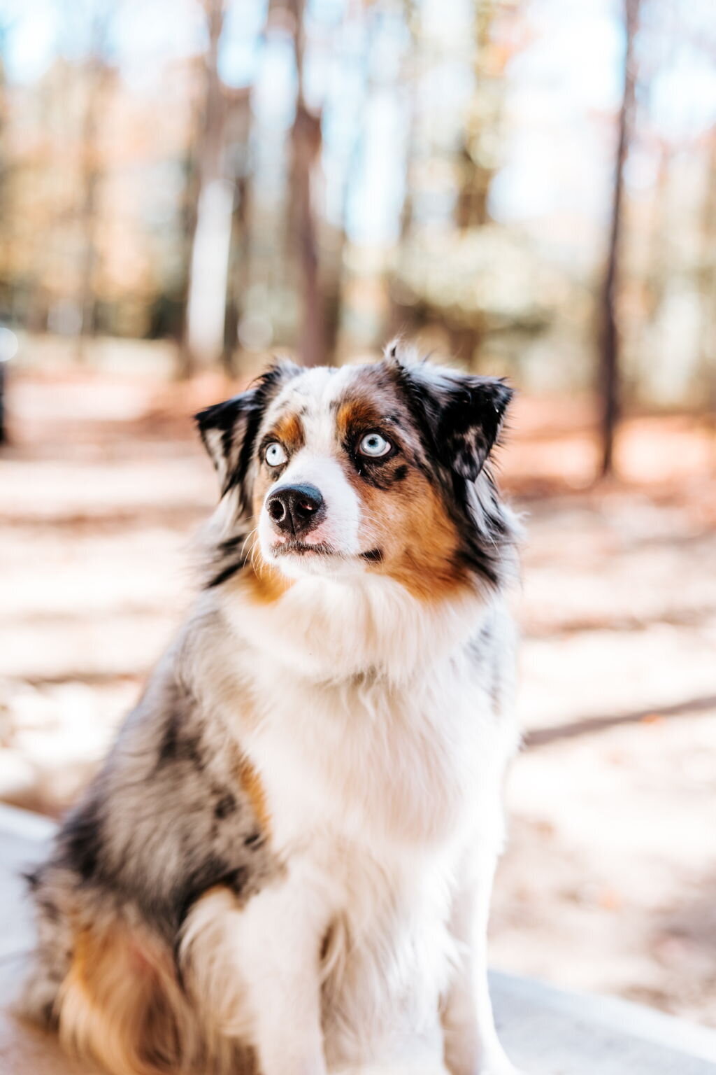 5-web-or-mls-HENRY-6