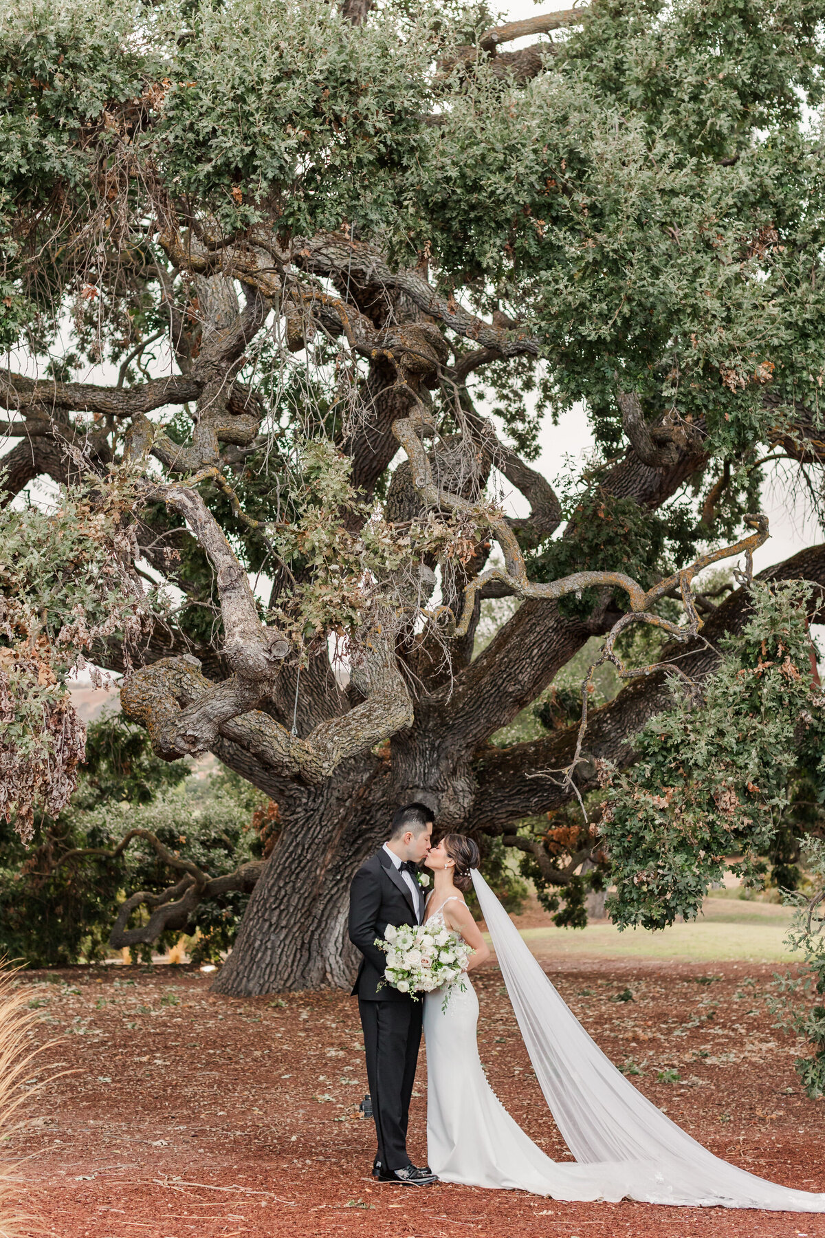 Rainy-day-wedding-in-livermore-california-23