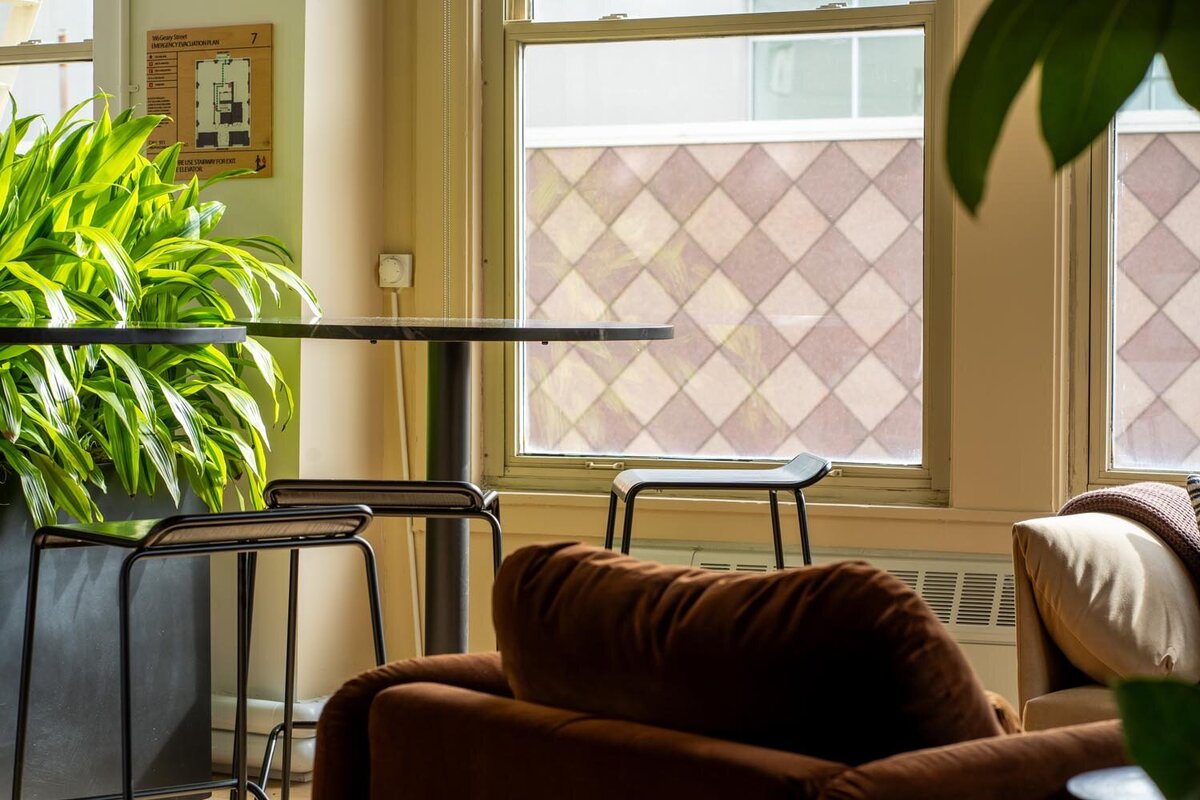 Tall indoor plants beside a high-top table and minimalist black stools next to sunlit windows with patterned privacy film.