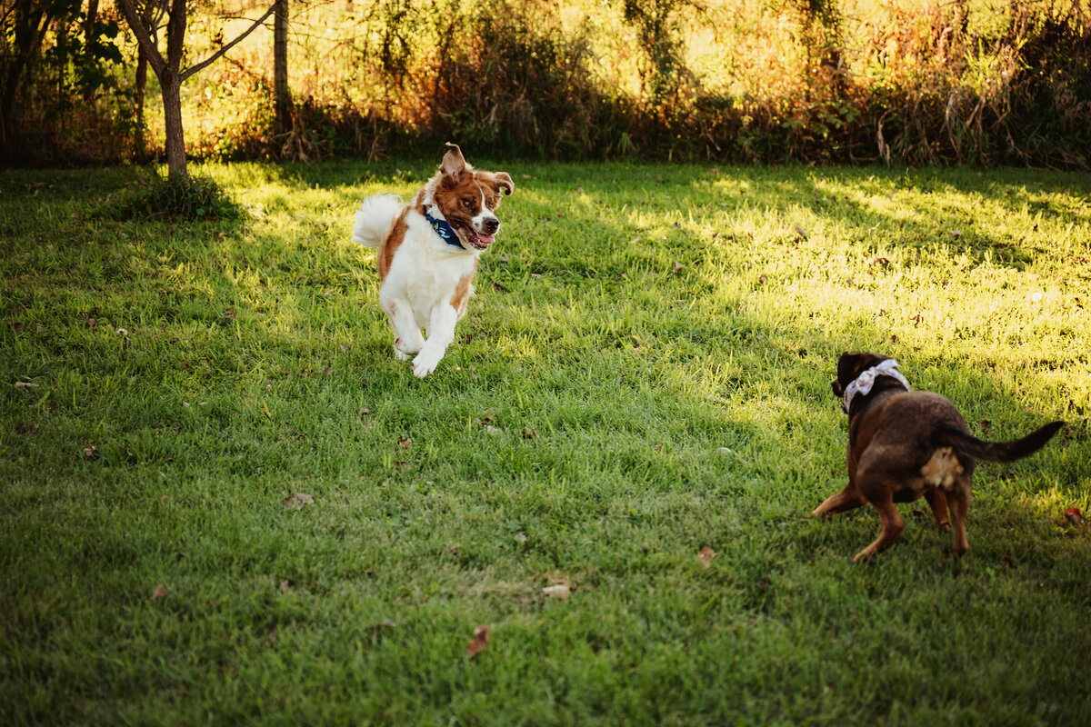 NicoleS_Fall2025_005