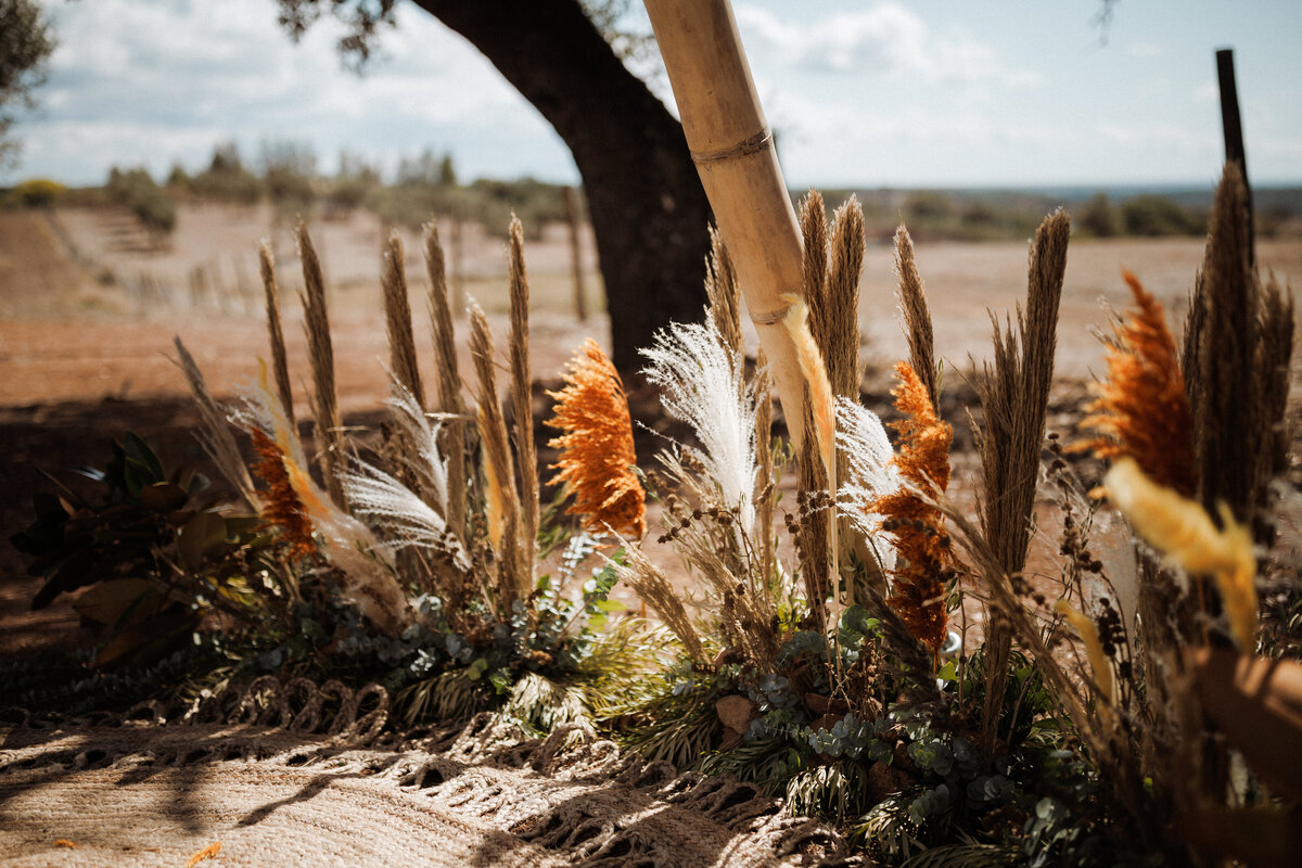 C261-b23252150506-o9479