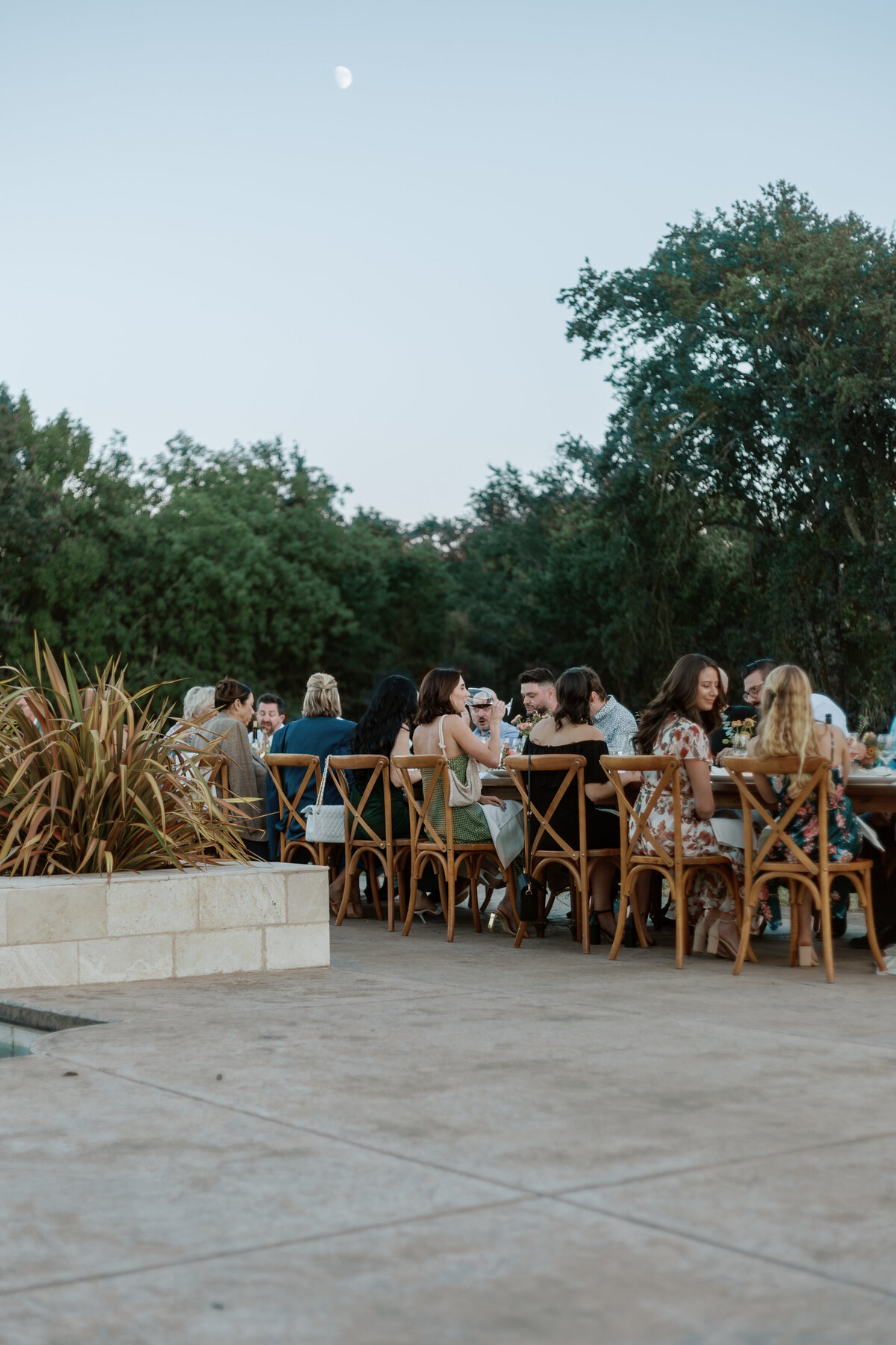 NatalieAnnSchaefer_Bay_Area_Wedding_Photographer_Villa_Colibri_Sonoma_California_Backyard_Wedding-78