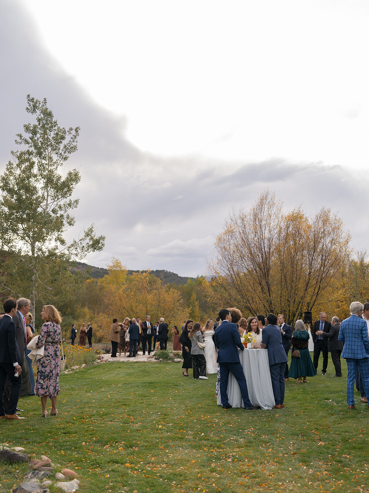 Lauren & Seth Digital Preview-56