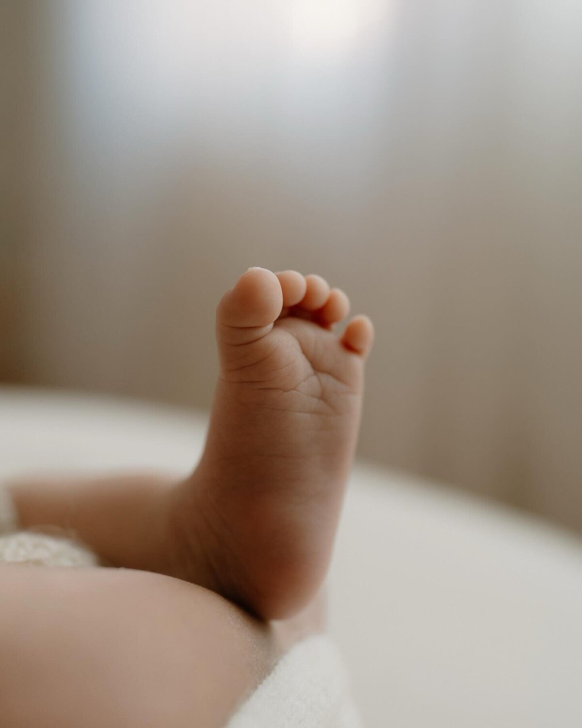 love-gem-photography-newborn-albury-wodonga (4)