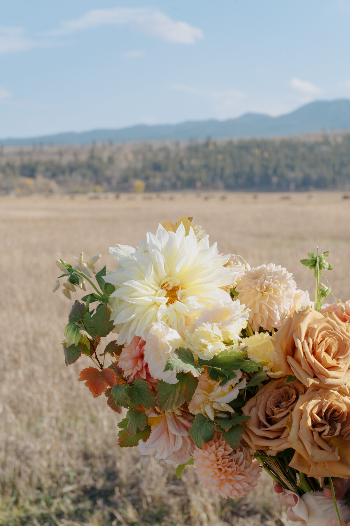 E-G-Grand-Teton-Elopement-Foxtails-Photography-278