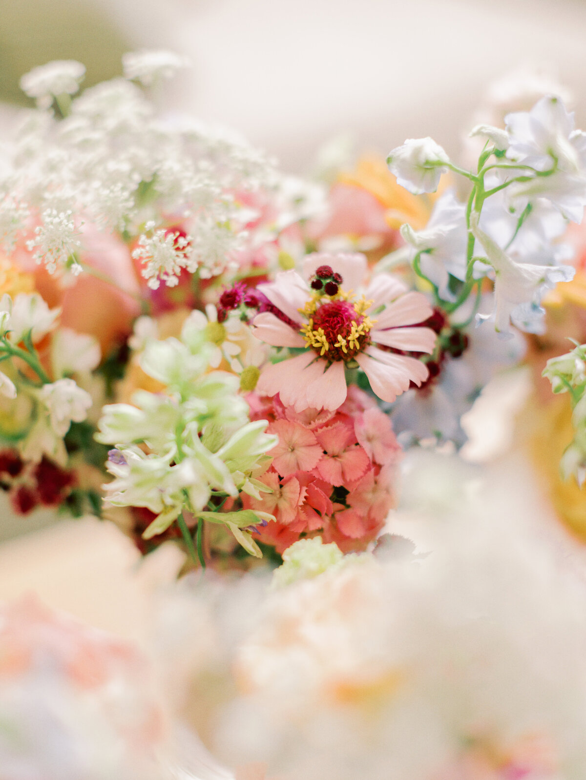 rumphius-farms-boston-wedding-florist-18