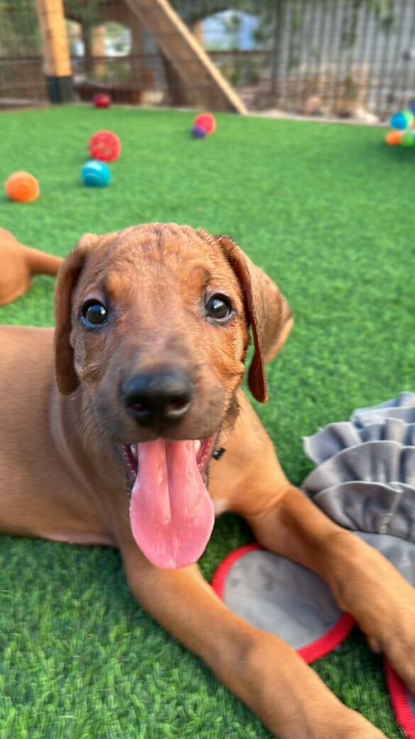 8BADDA61-D3A5-4D91-BE00-6BC47E5468D0