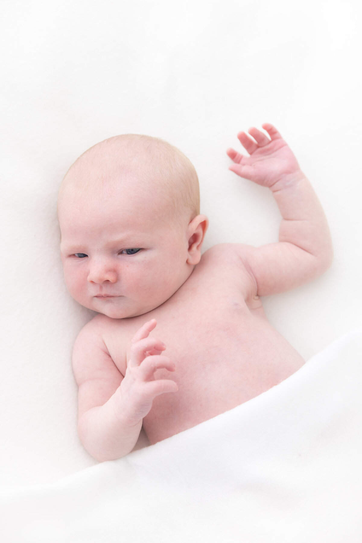 01-små-Fotograf -Linn Landmark-6221