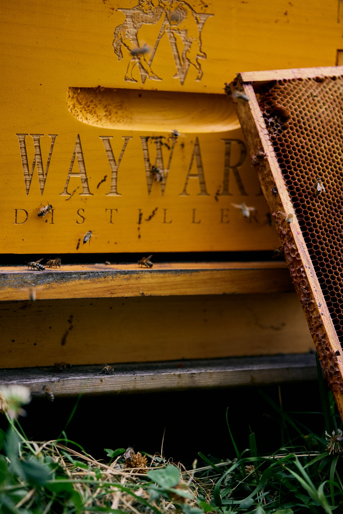 Wayward Distillery_Elli Hart Creative_ 68