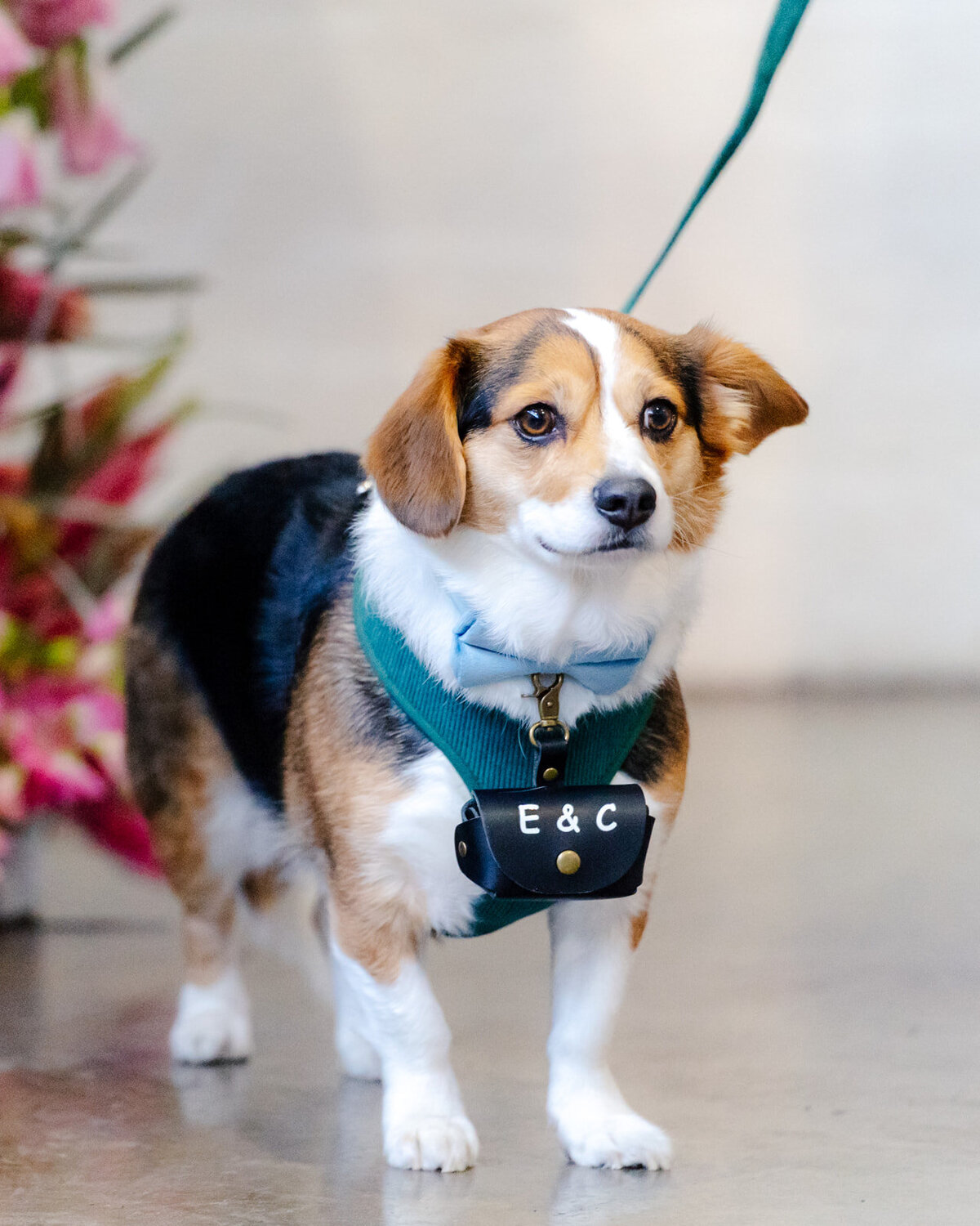 Cameron & Emanuel-529_websize (1)