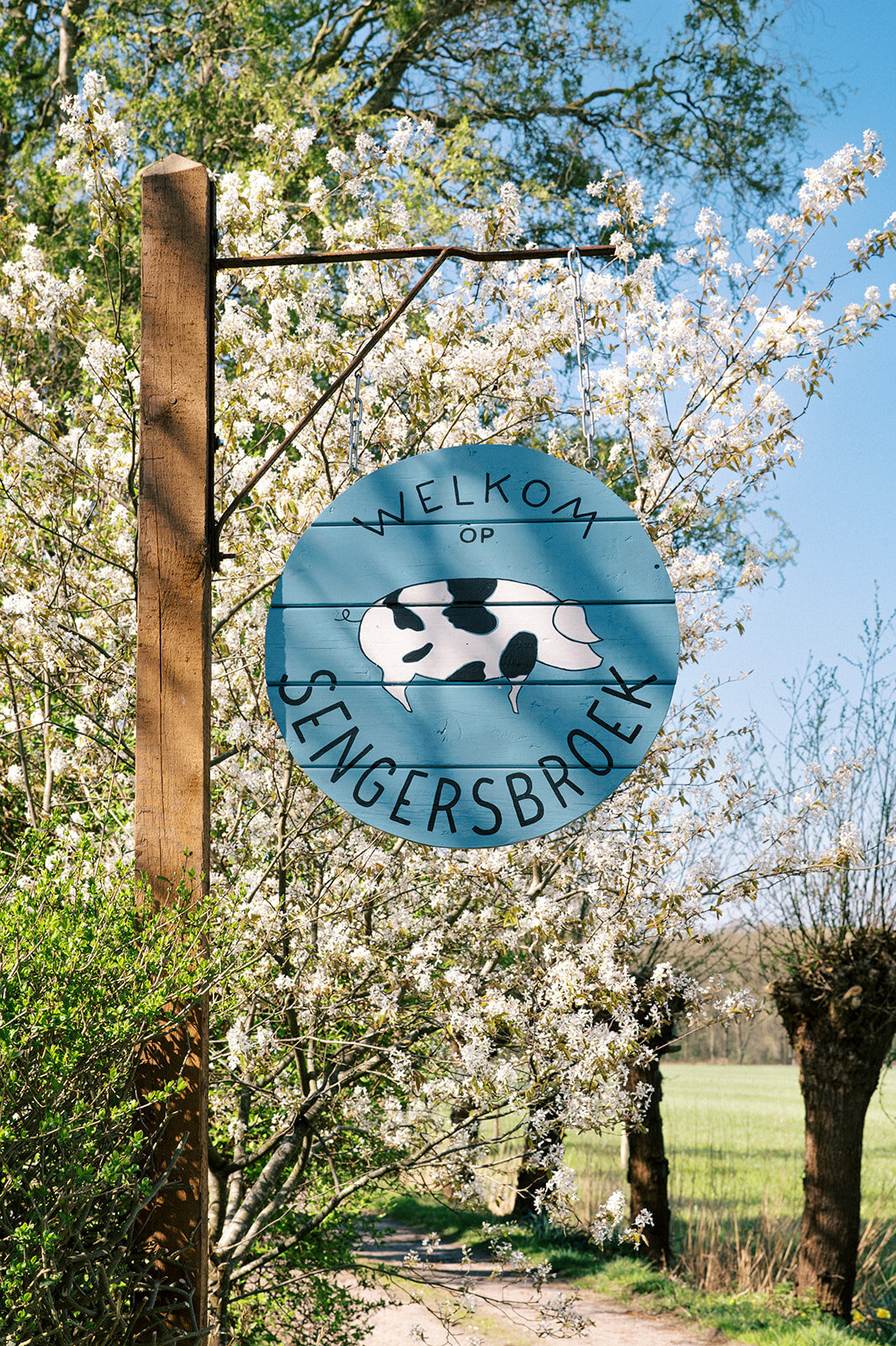 FotostudioFlora_Sengersbroek-28