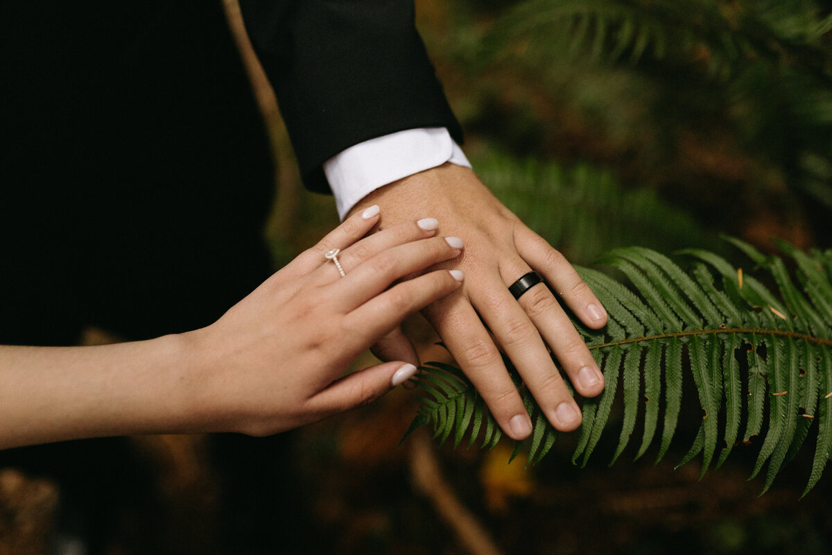 Elopement-PNW-Olympic-National-Park-Washington-Elopement-Photographer-Tessa-Marie-Collective