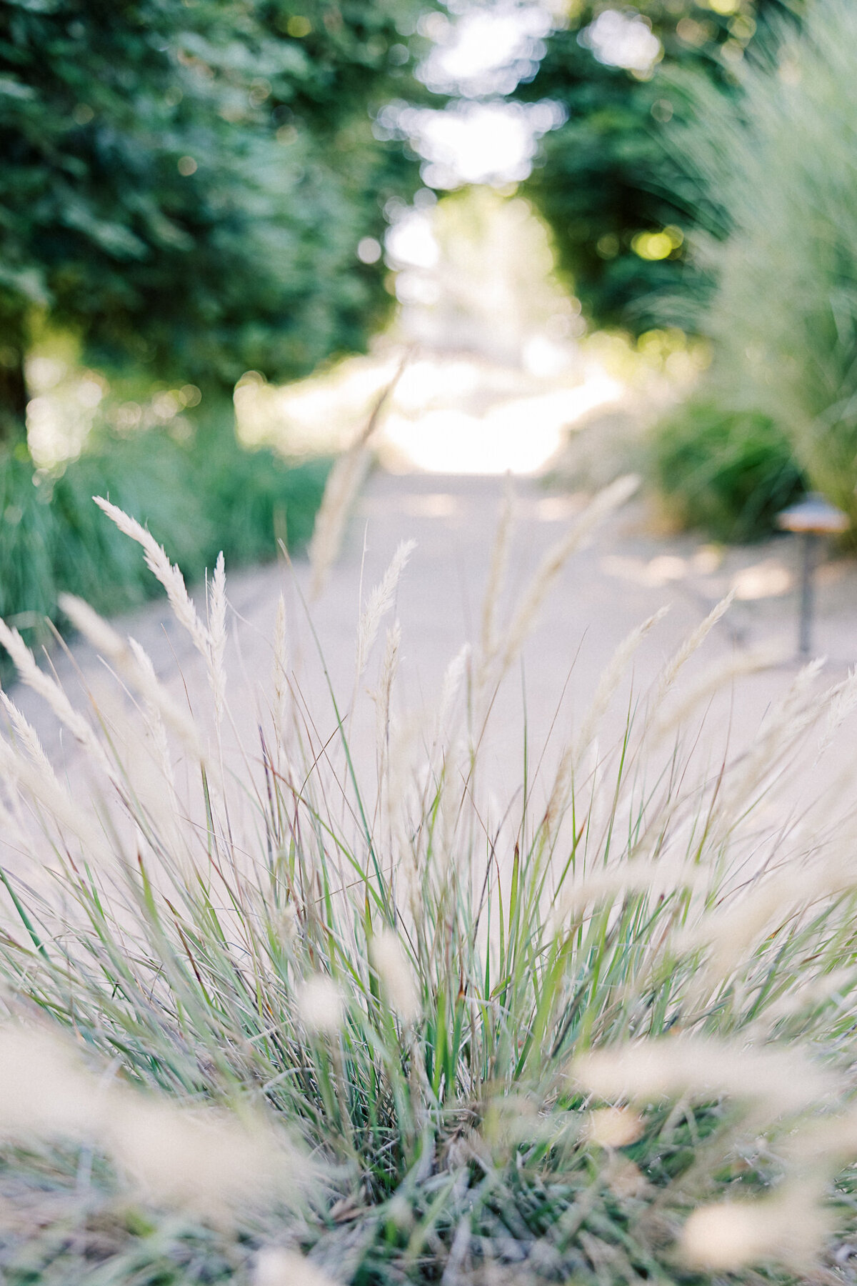 The Barn at Harrow Cellers | Bay area Wedding-1