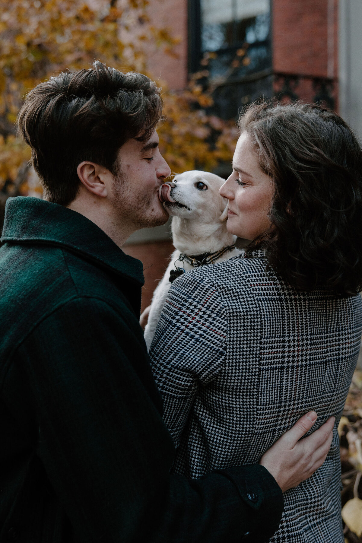 dog kissing man in boston with woman