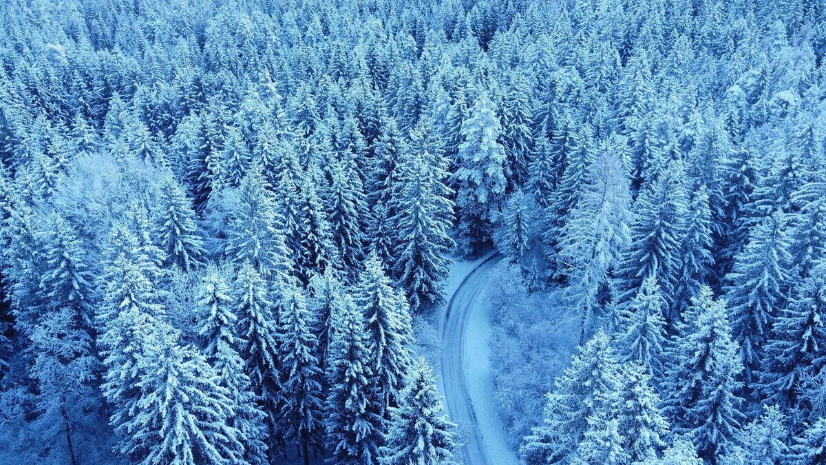 Verschneiter Nadelwald aus der Drohnenperspektive mit geschwungener Schneestraße – stimmungsvolle Winteraufnahme für Landschafts- und Werbefotografie