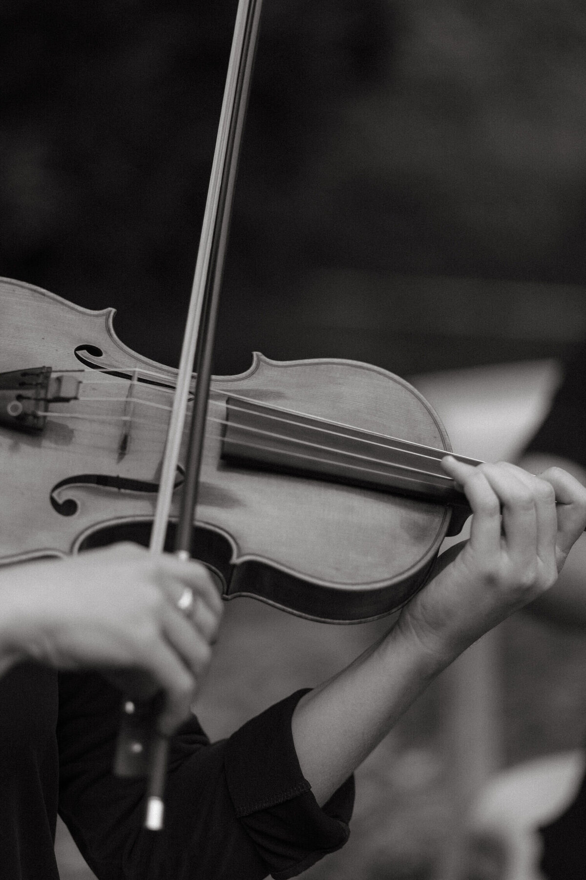 wedding-reception-violin-closeup-6GJ-W