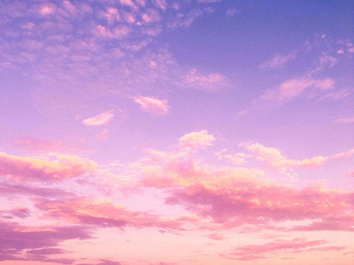 Sarasota sunset photos