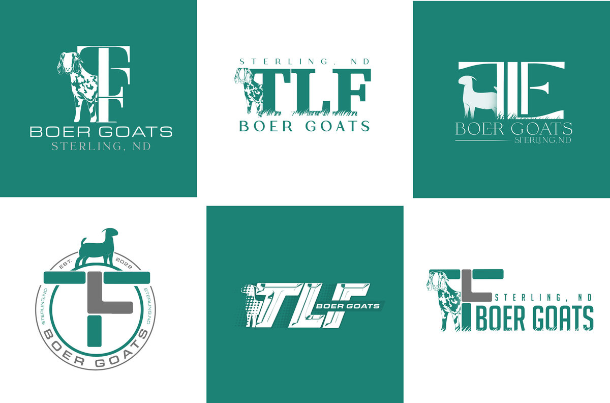 TLF-BG copy