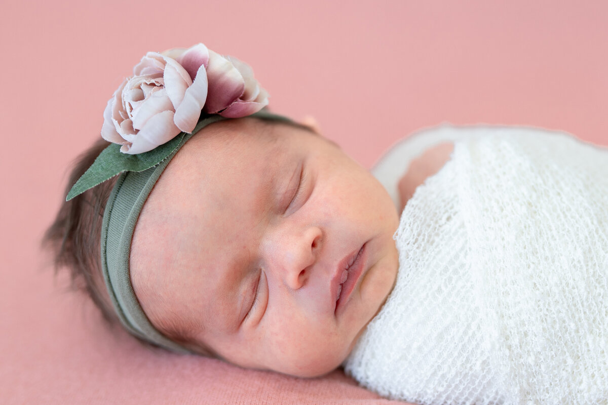 Baby Esmeralda Rose-7