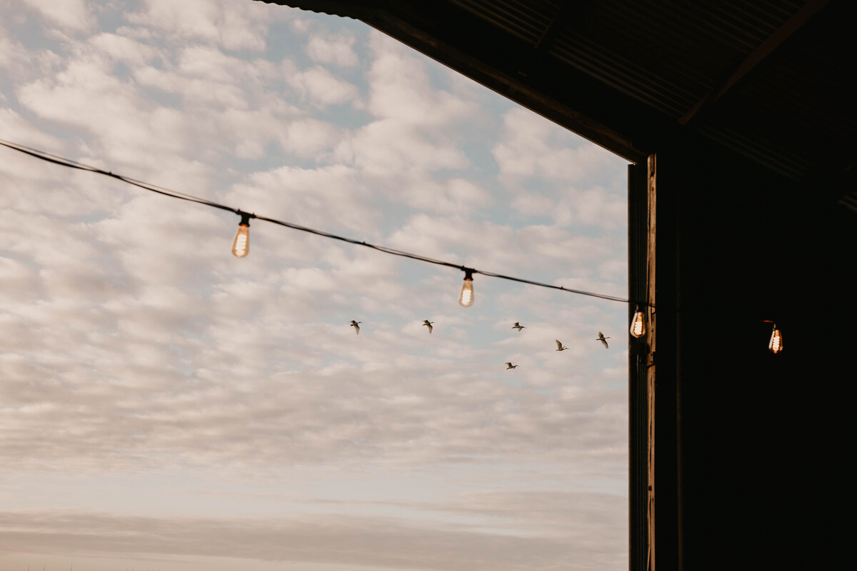 portdouglasweddingphoto-107