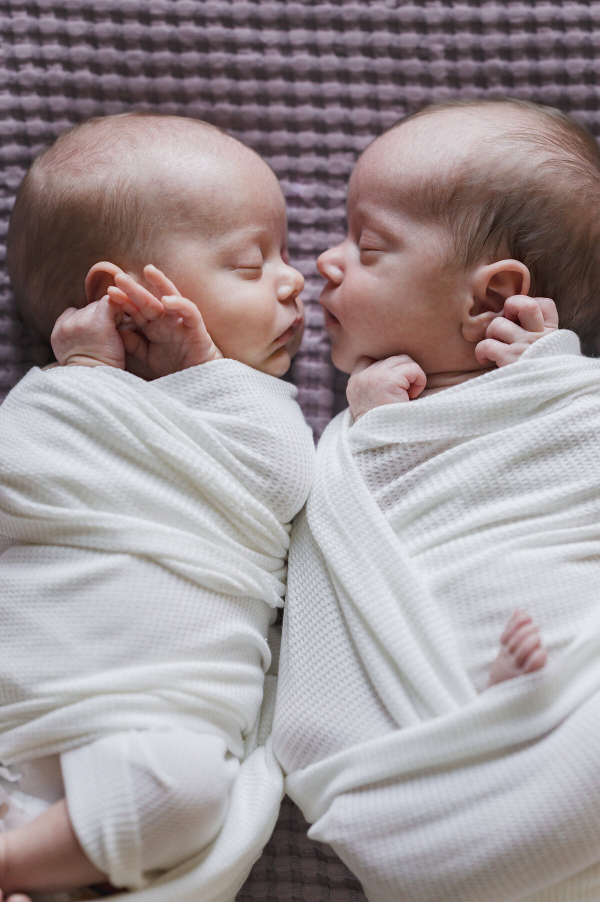 san-antonio-newborn-photographer-2025-119