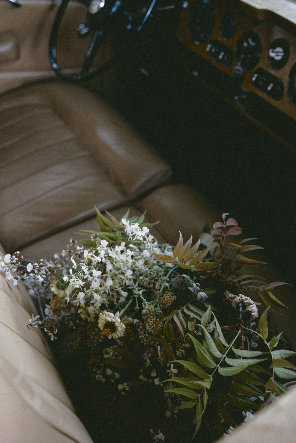 462568037_1339913430373436_7752360663754382976_n