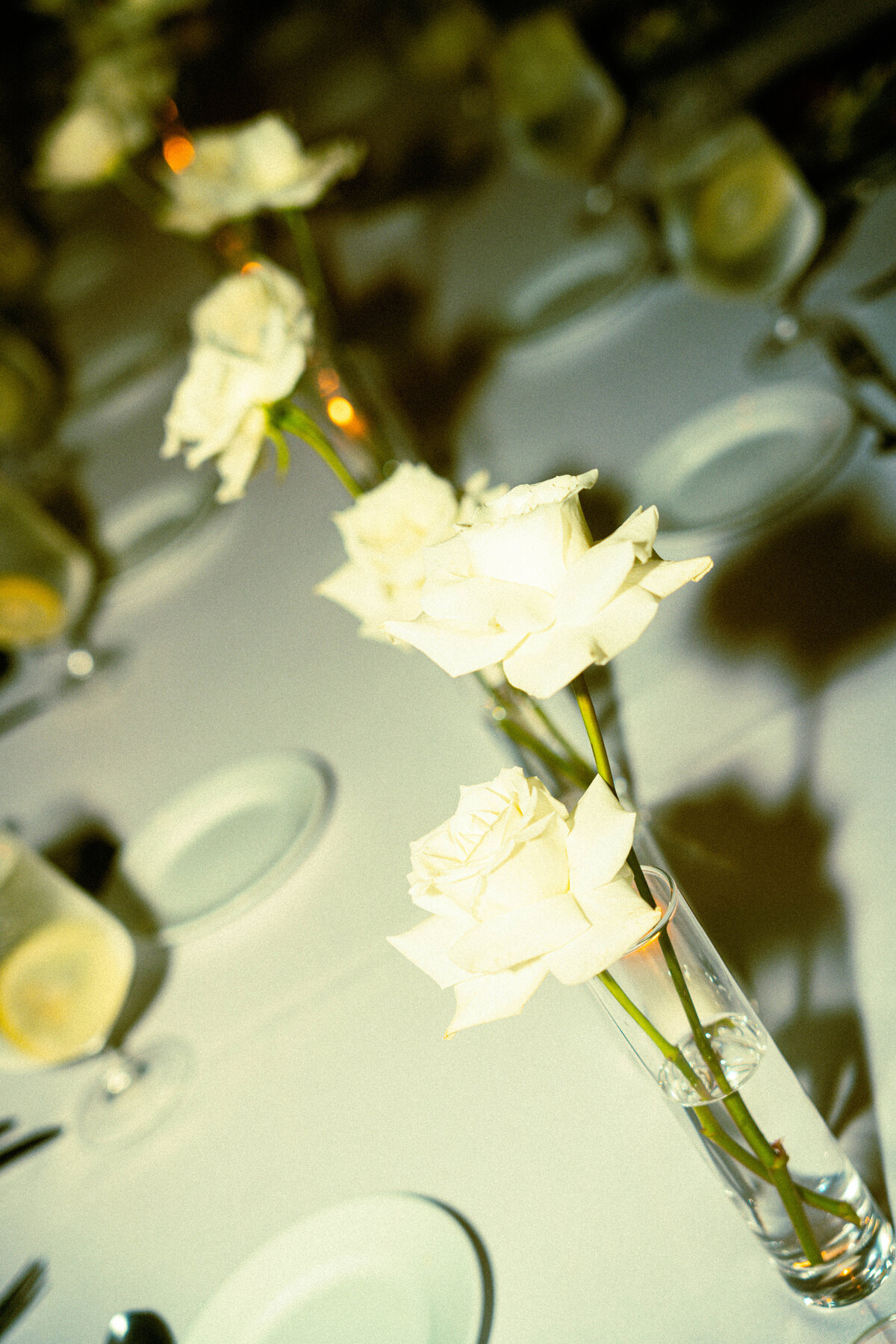 beccameyerphoto-06571