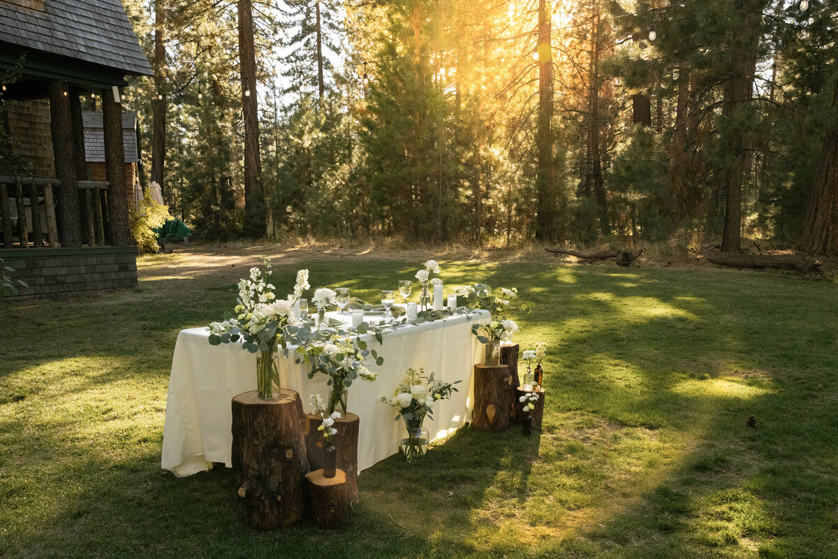 Abby + Mitch Valhalla Wedding Lake Tahoe _ Katherine Krakowski Lake Tahoe Reno Photographer-120 (1)