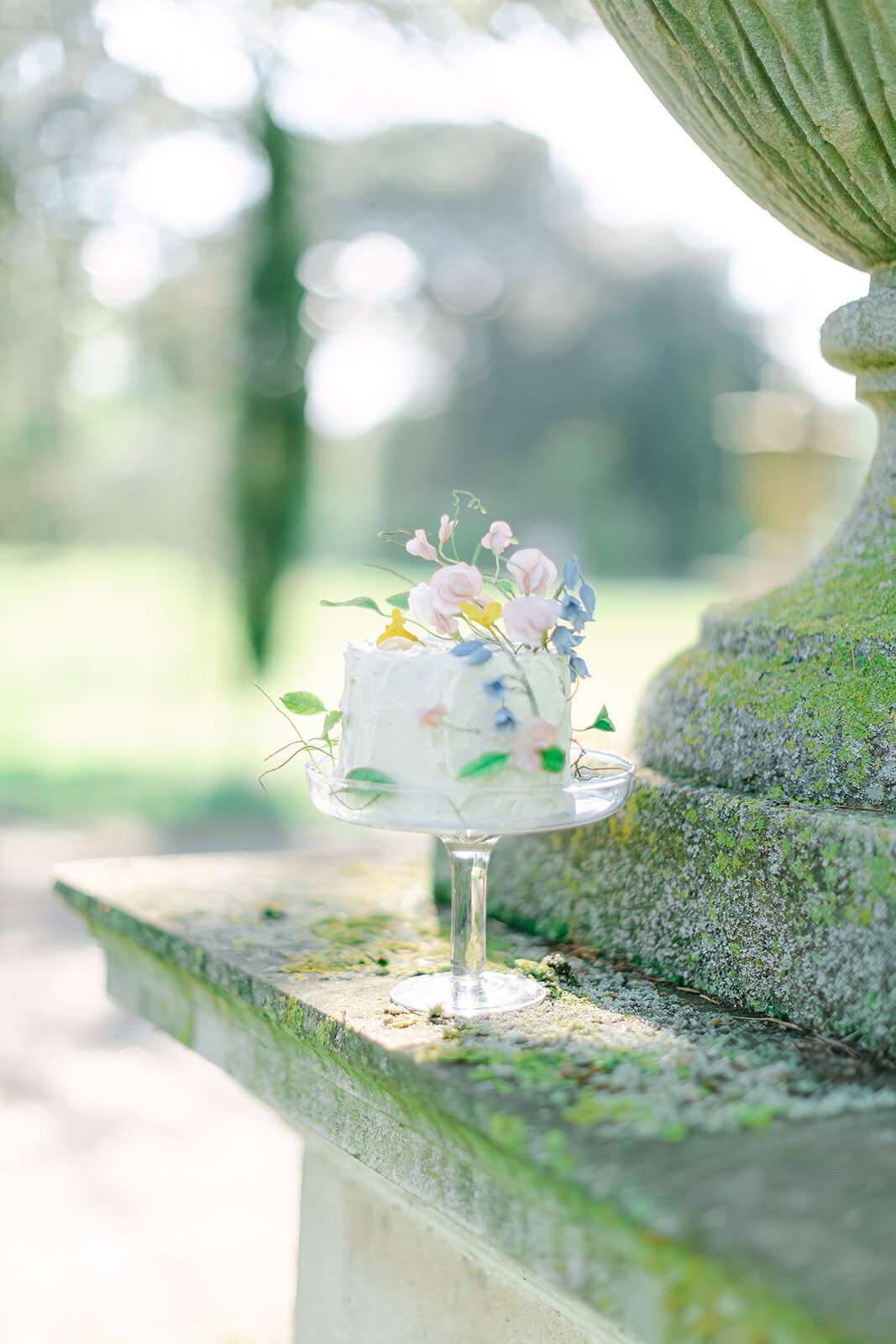 552  - Valeria Dolci Cakes - Chiswick House & Gardens - Joana Senkute Photography