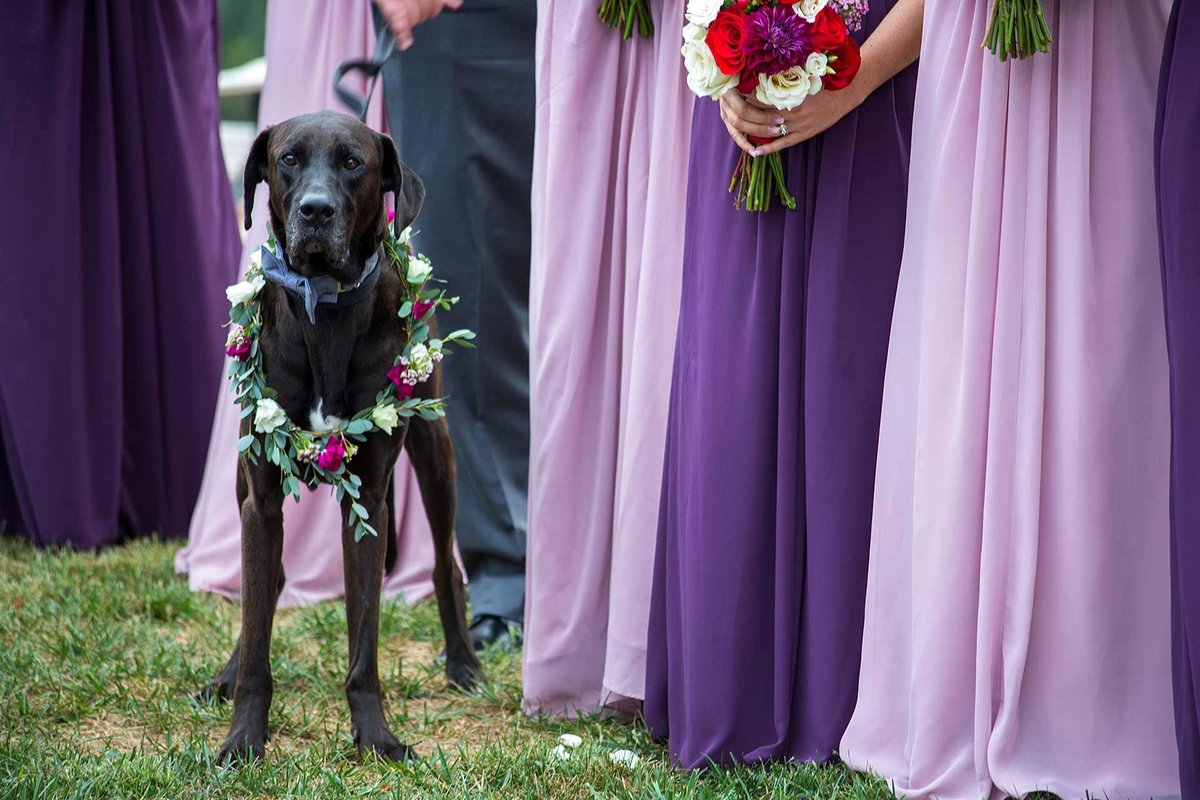 Erika-+-Mike's-Wedding-2019-381