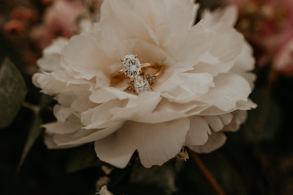 san-lorenzo-canyon-elopement-new-mexico-68