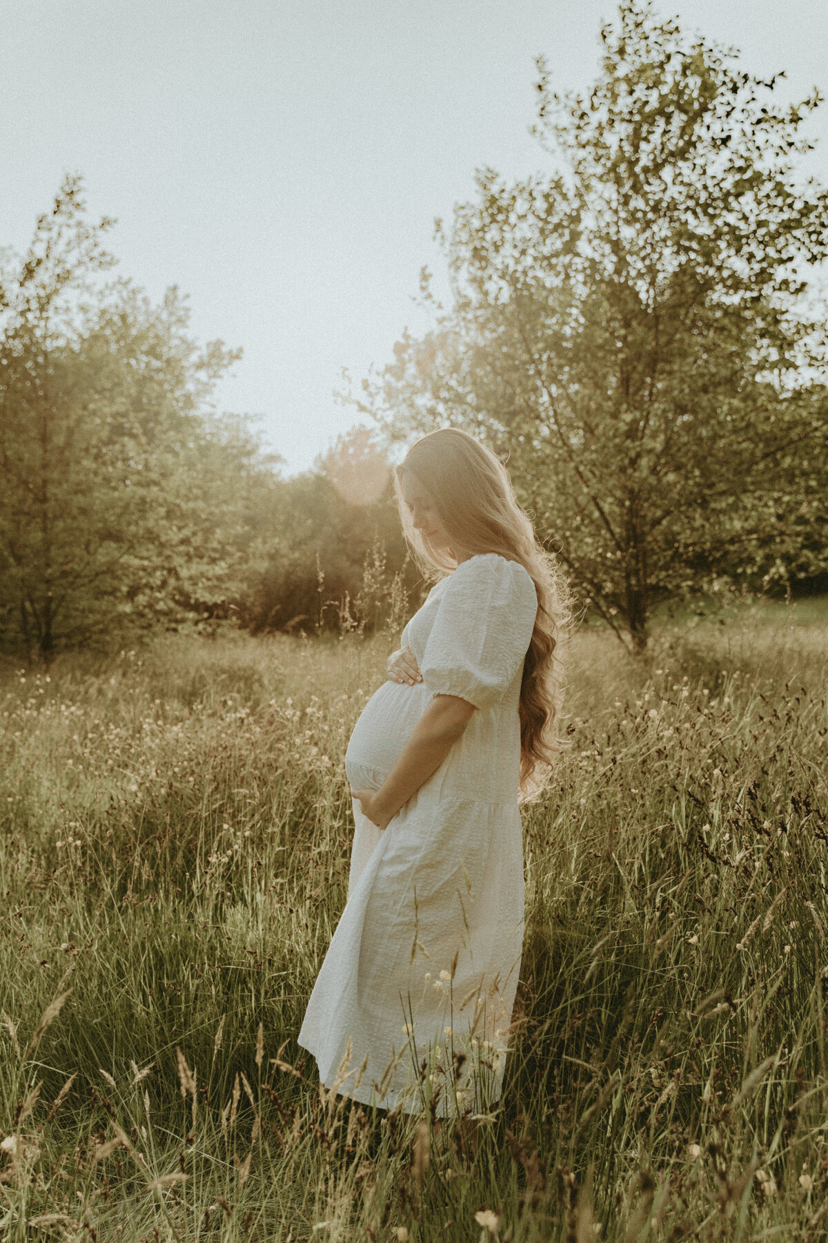 golden hour maternity portrait in a field
