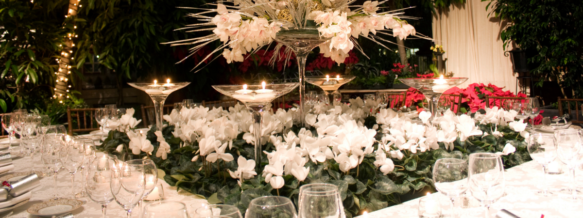 nielsens-greenhouse-and-garden-ct-event-venue-6