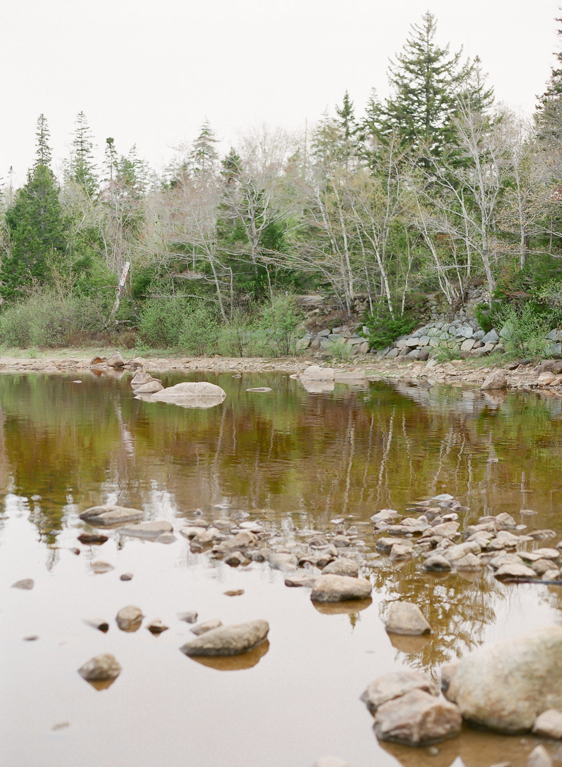 Jacqueline Anne Photography - Maddie and Ryan - Long Lake Engagement Session in Halifax-56