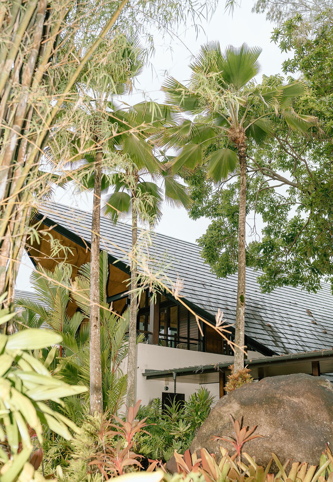Lia&Travis-Coast&Pines-452