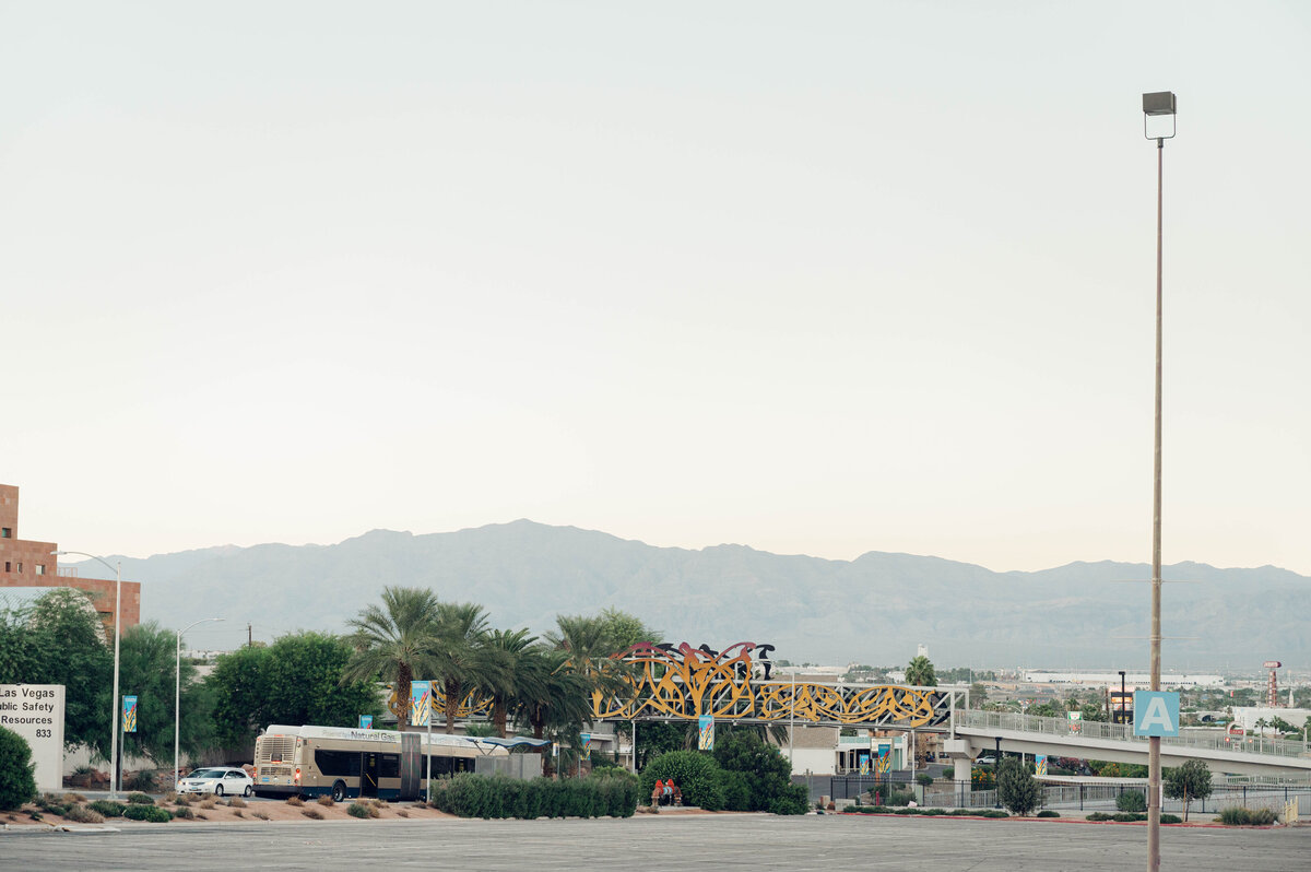 VegasWedding-336