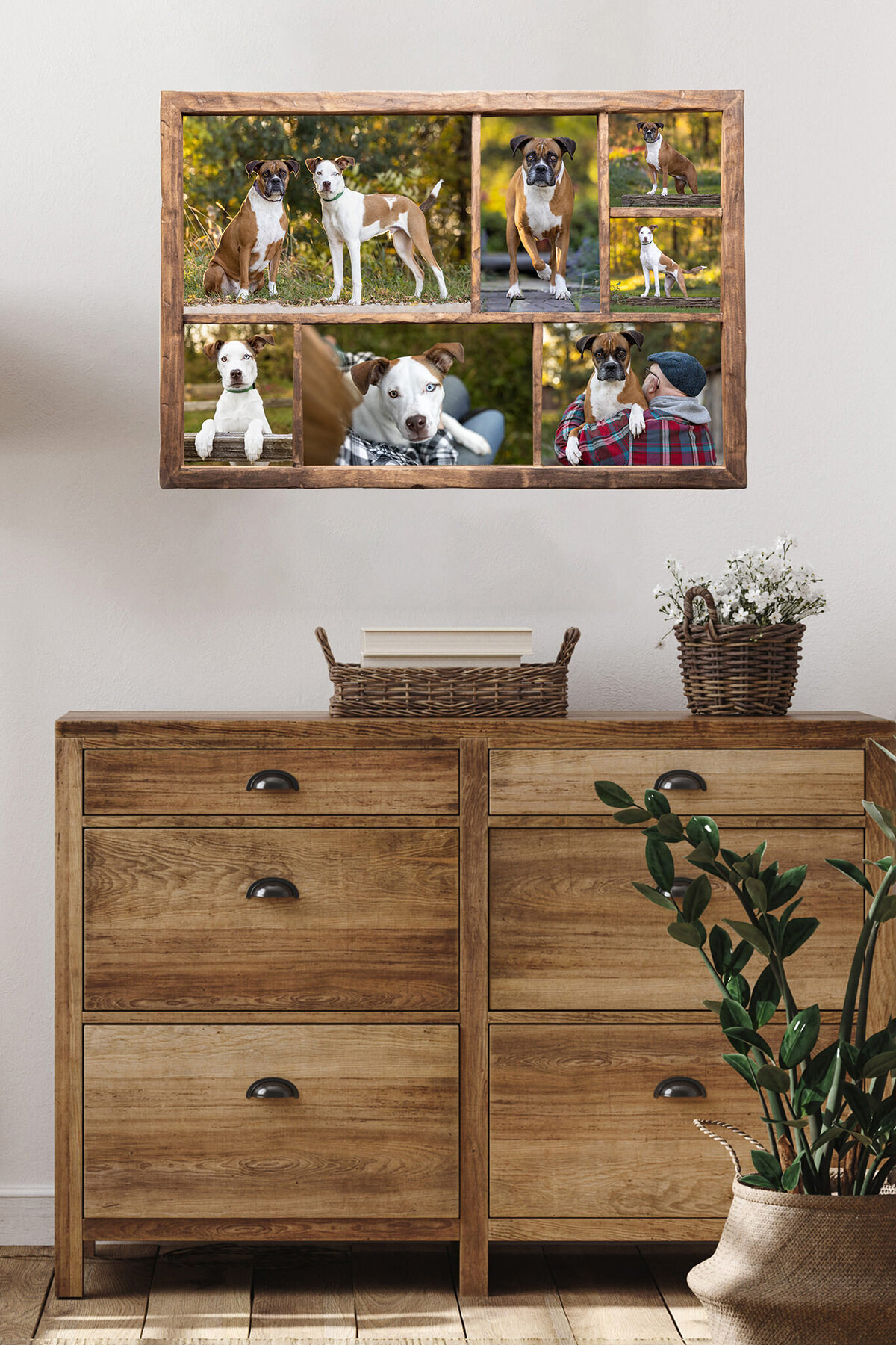 collage of dogs hanging in a room
