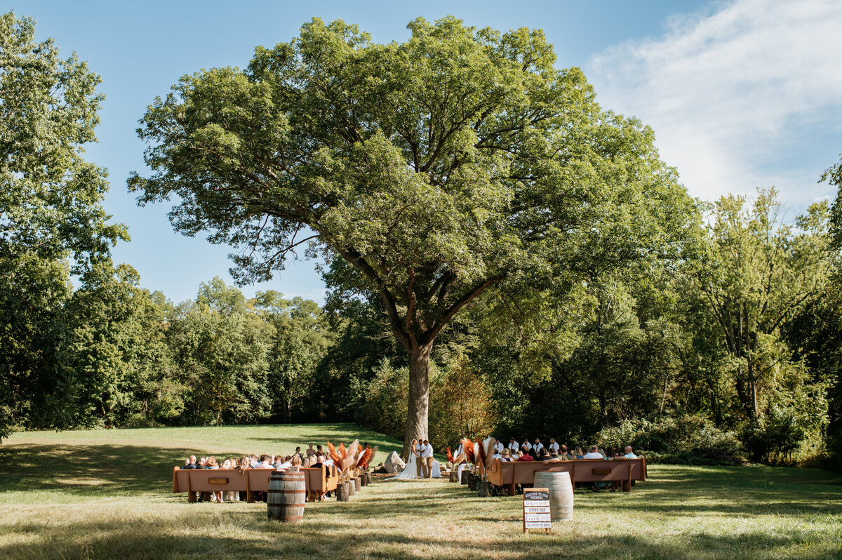 Outdoor wedding ceremony under large tree
