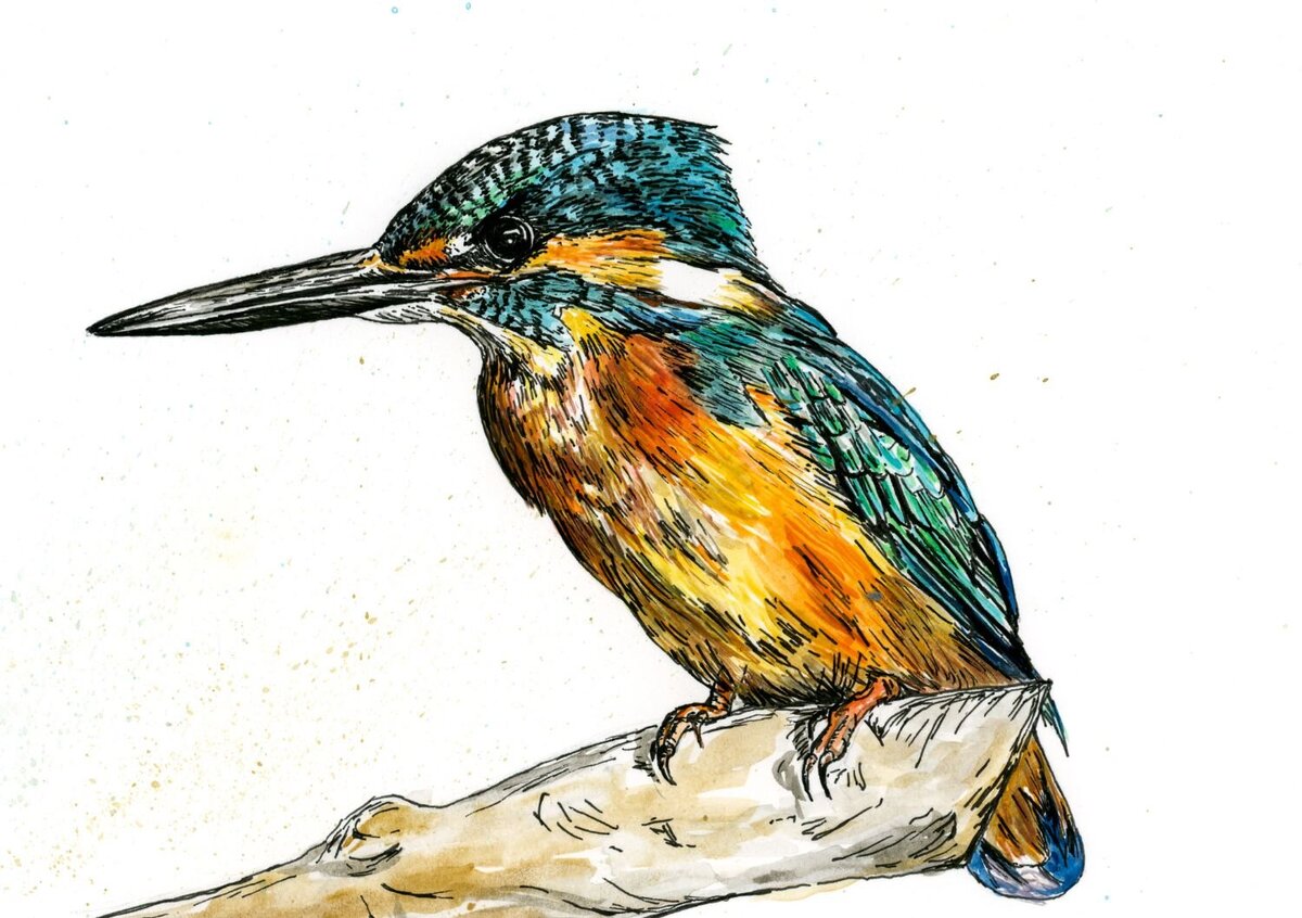 debbie-bowman-new-commissions-11