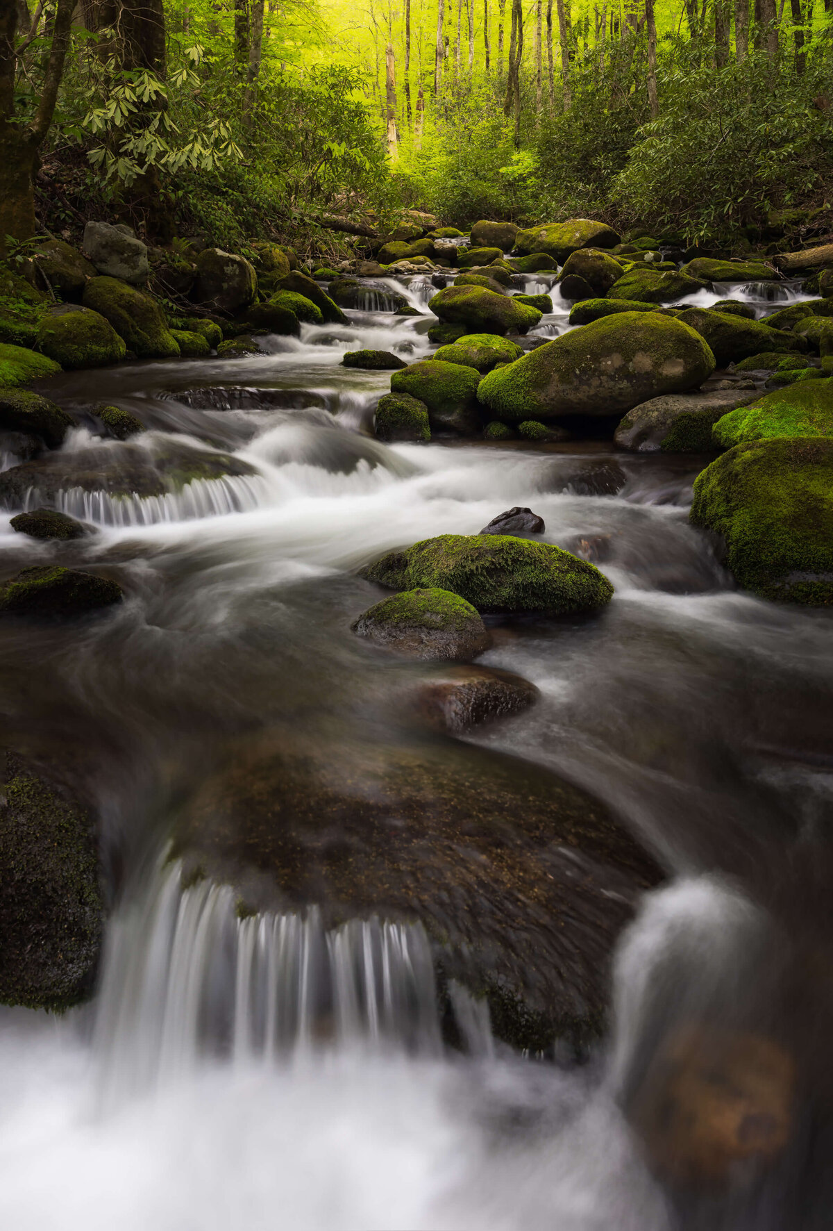 2022.04-Nature-TN-Smoky-Mountains-NP-Chrissy-Donadi-Landscape-Photography-Clear-Forest-River-Spring-Roaring-Fork-Vertical