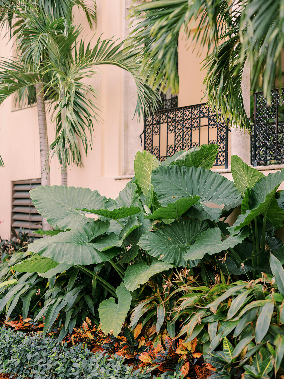 Vaz & Caitlin - details - Chrissy O_Neill & Co. - South Florida Wedding Photographer-271