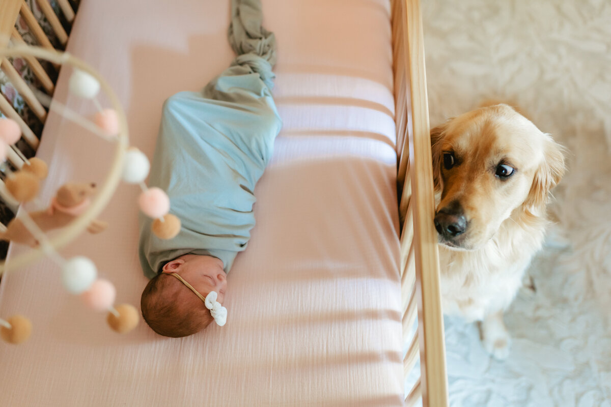 HeavenlyDazePhotography_IndianapolisNewbornPhotographer_PARKER-24