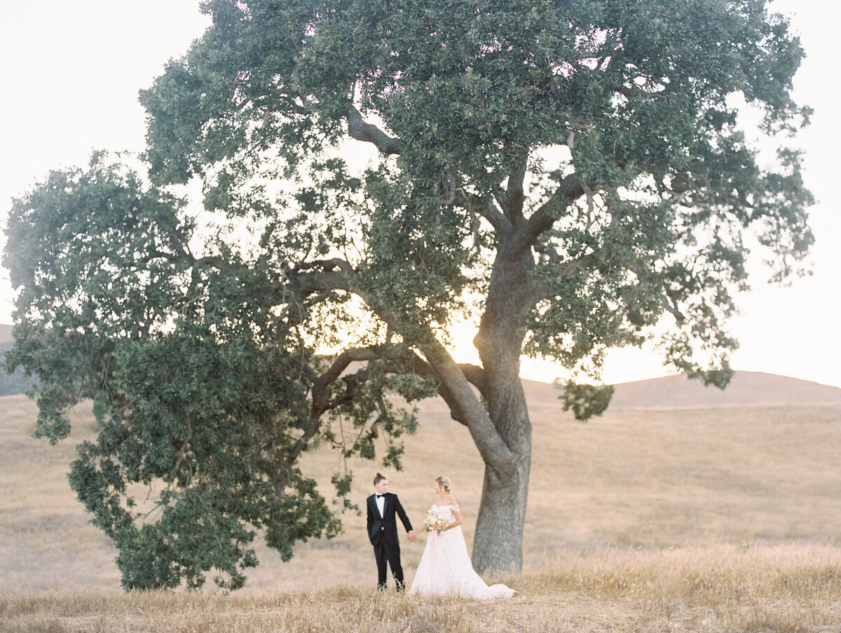 Bride and groom under a tree photographed by Chicago editorial wedding photographer Arielle Peters