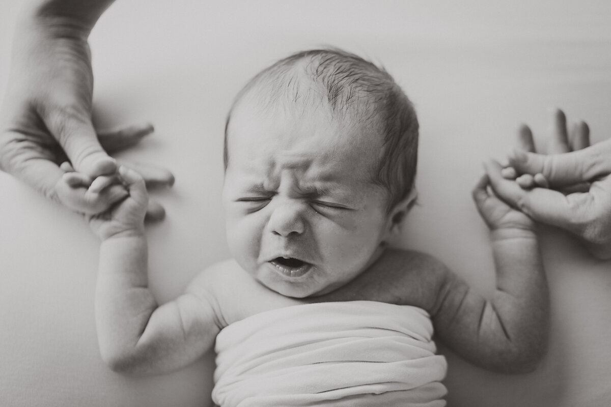 carmel-newborn-photographer-36