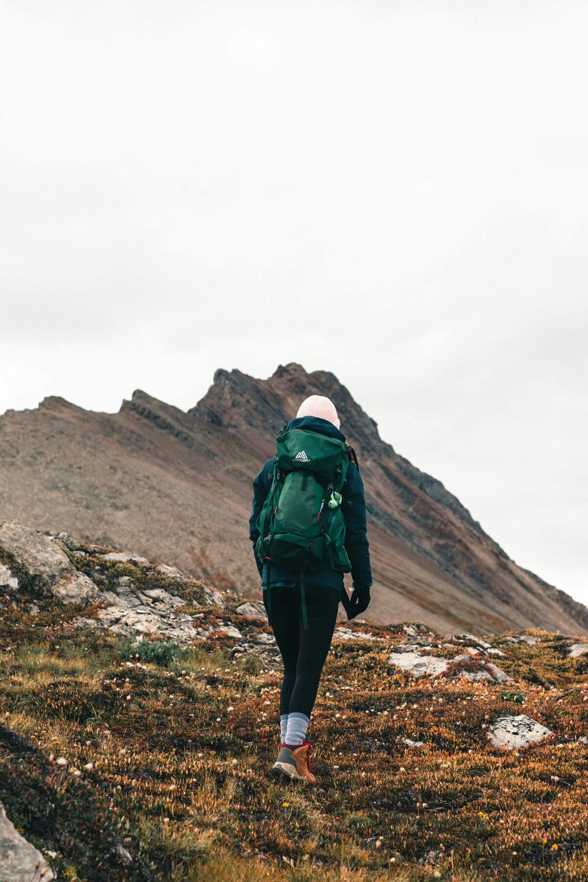 ali-kazal--vxePMhYlY8-unsplash