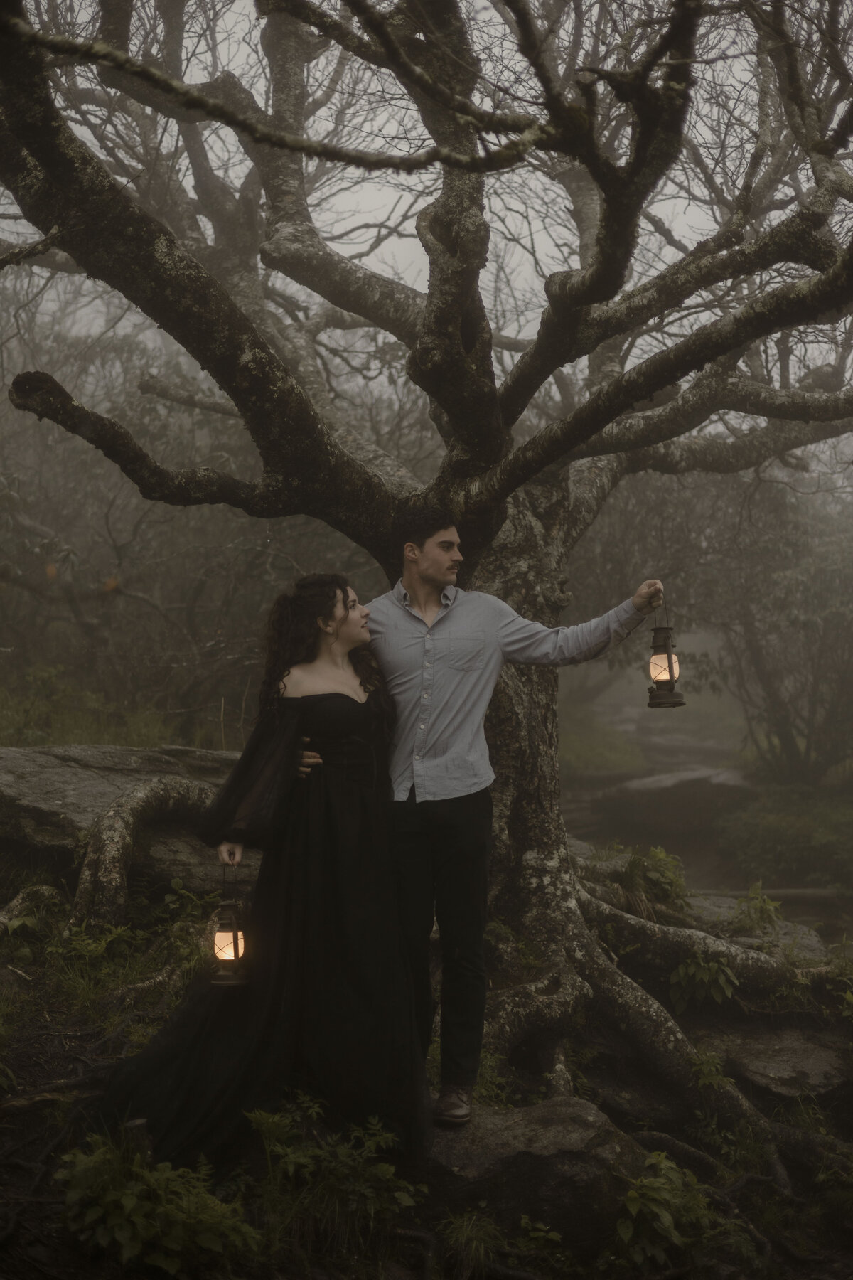 smoky mountain photographer (5)